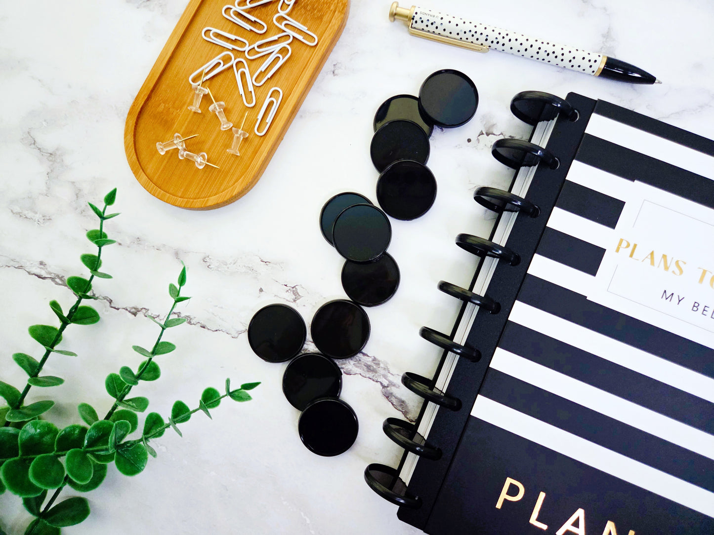 Plans to Succeed Disc Planner Cover + 9 Black Plastic Discs