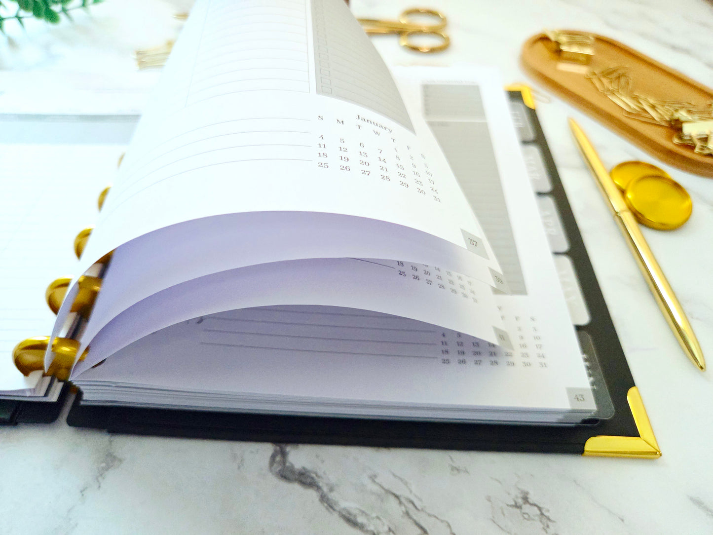 2026 Plans to Succeed Planner | Faith-Based, Disc Binding, Two-Part Design